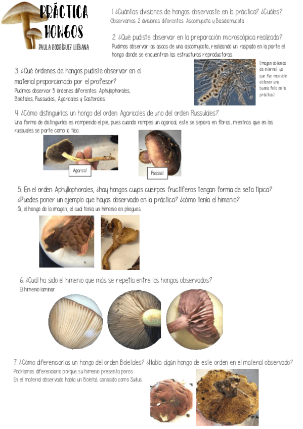 Miniatura del documento Pract4.pdf