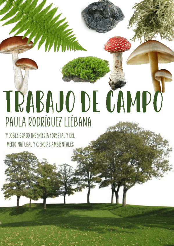 Miniatura del documento TrabajodeCampo_Memoria.pdf