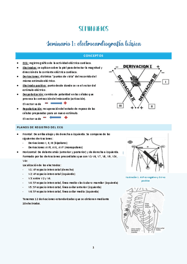 Miniatura del documento SEMINARIO-1.pdf