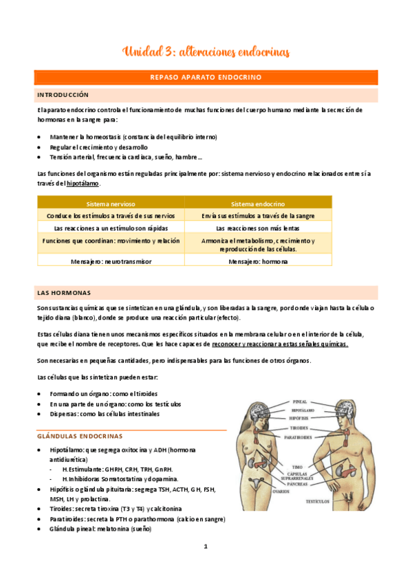 Miniatura del documento Unidad-3-clinica.pdf