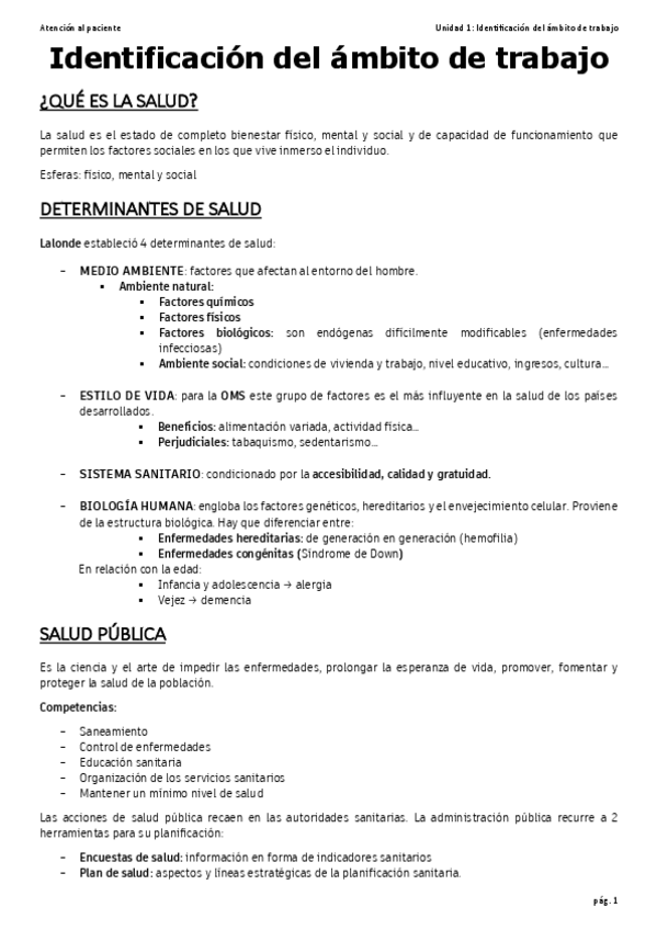 Miniatura del documento 1.pdf