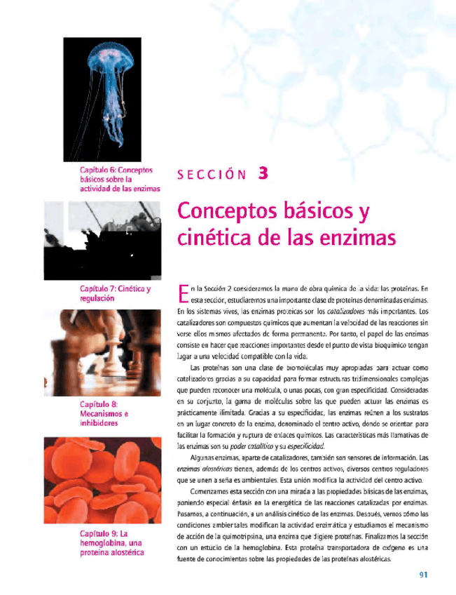 Miniatura del documento Bioquimica-Enzimas-.pdf