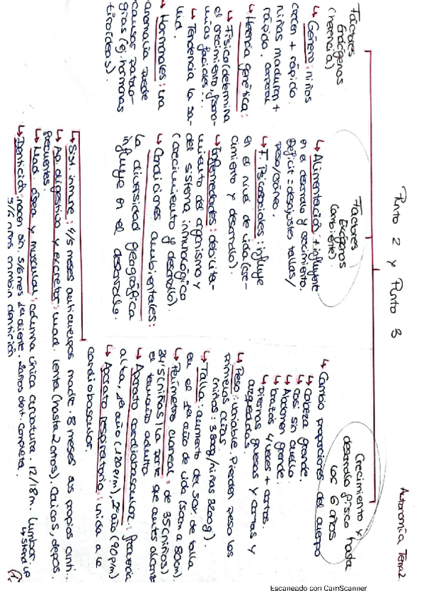 Miniatura del documento Esquema-Autonomia-Tema-2.pdf
