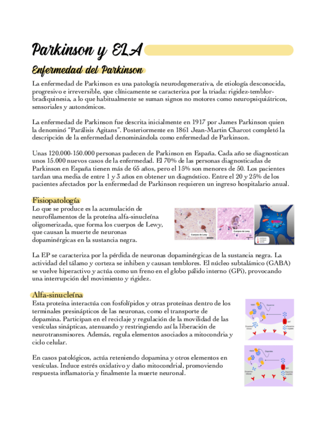 Miniatura del documento 13-Parkinson-y-ELA.pdf