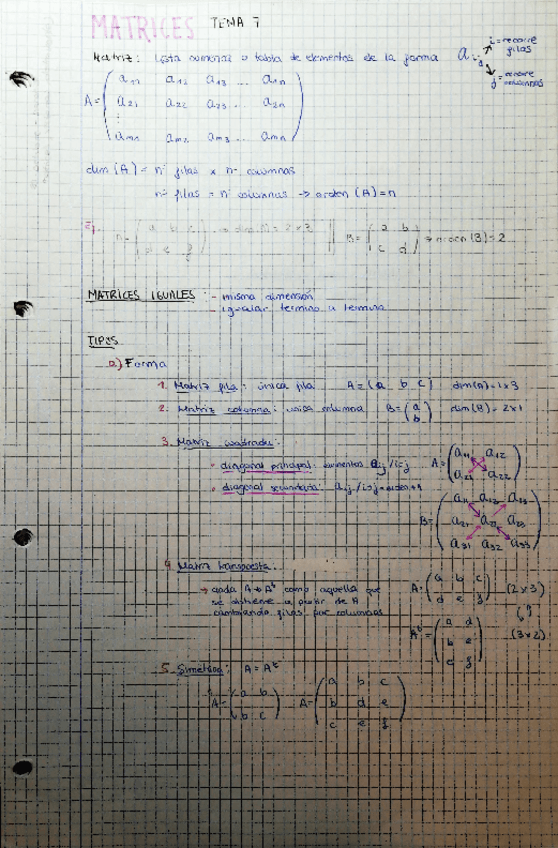 Miniatura del documento todo Matemáticas