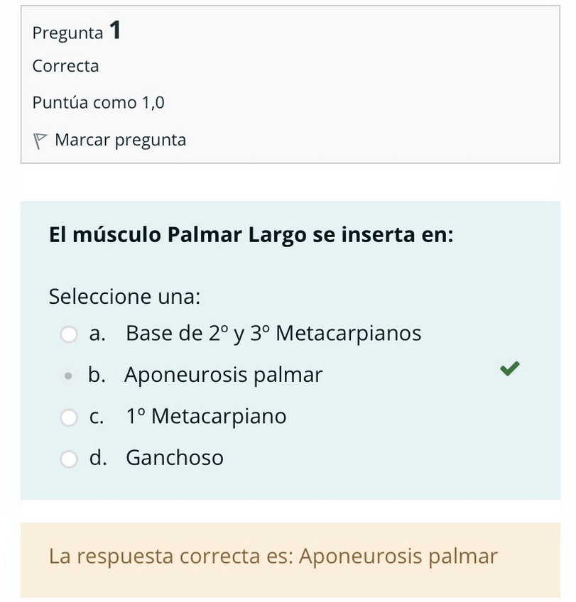Miniatura del documento Examen-miembro-superior-.pdf