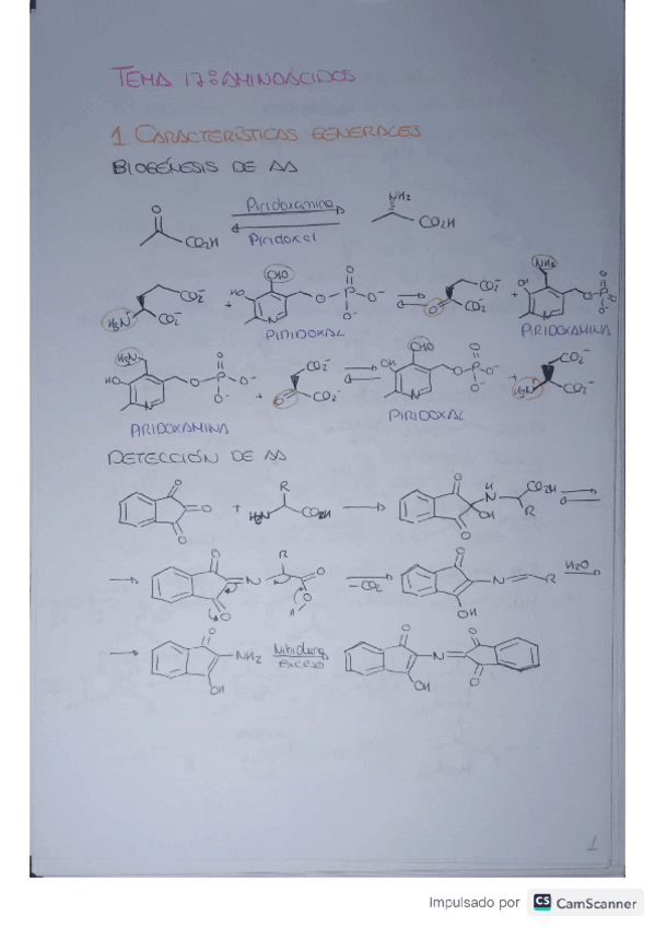 Miniatura del documento Tema17.pdf