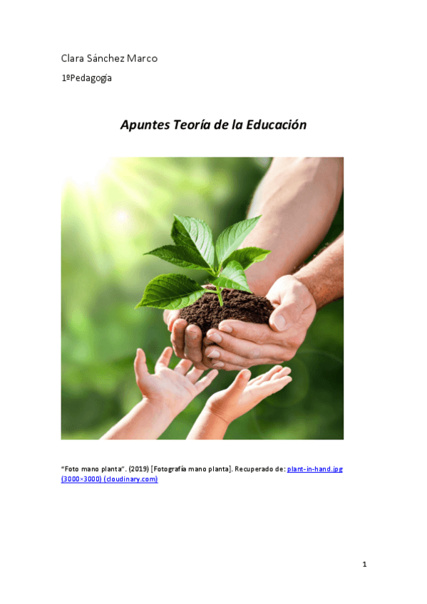 Miniatura del documento apuntes-teoria.pdf