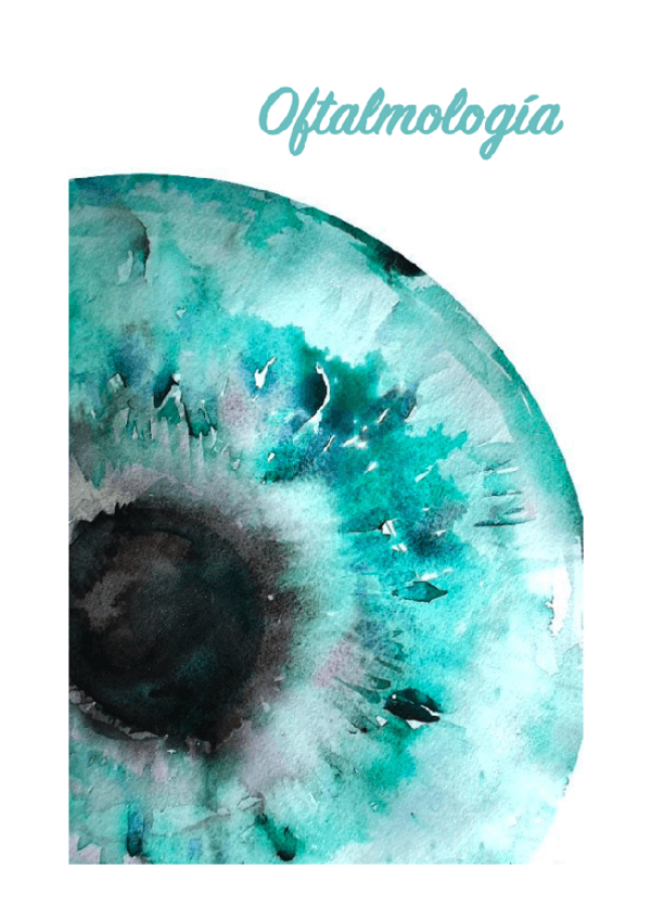 Miniatura del documento Seminarios-oftalmologia.pdf