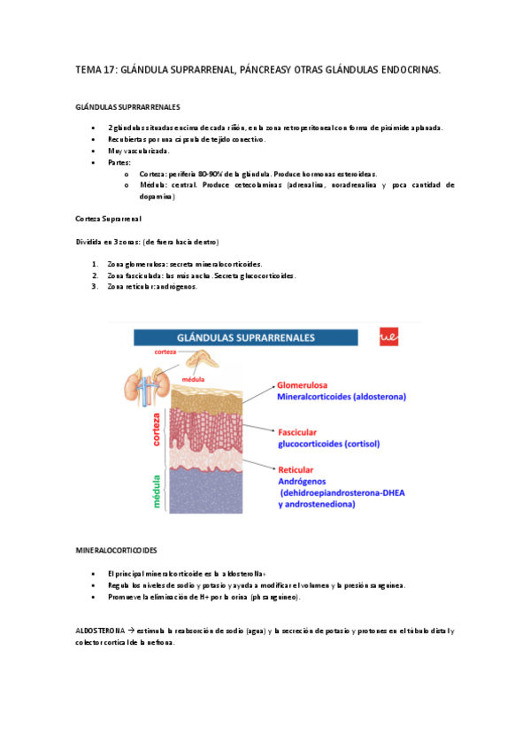 Miniatura del documento TEMA-17.pdf