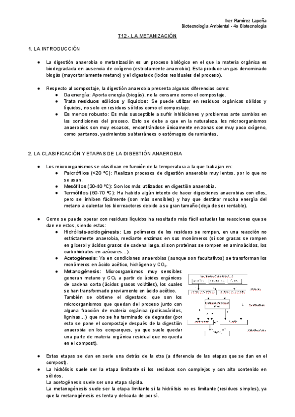 Miniatura del documento T12-BTAM-La-Metanizacion.pdf