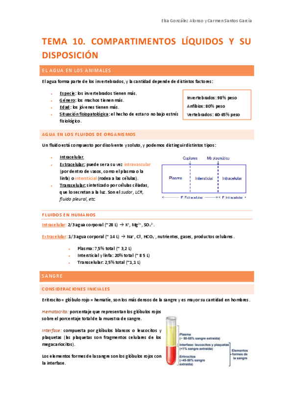 Miniatura del documento fisio-segundo-parcial.pdf