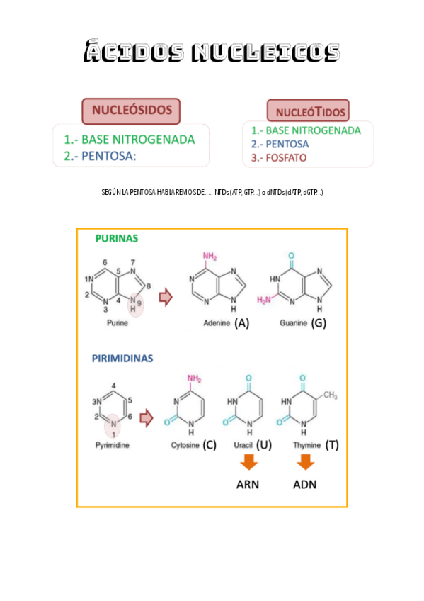 Miniatura del documento TEMA-9.pdf