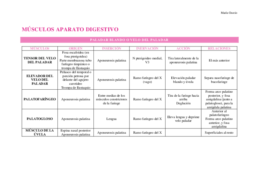 Miniatura del documento tablas-musculos-aparato-digestivo.pdf