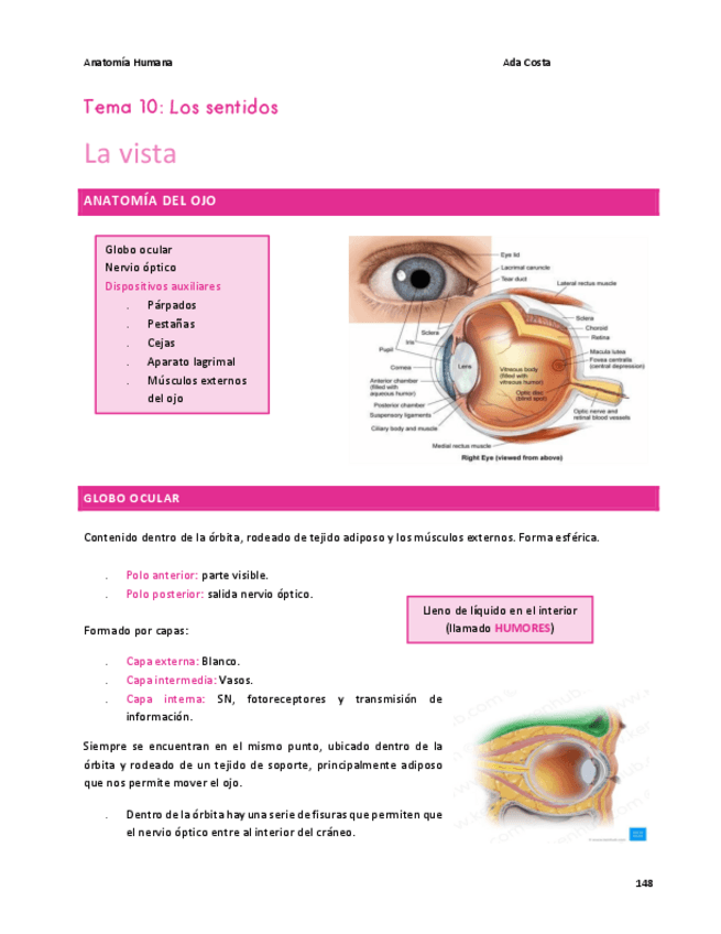 Miniatura del documento Tema-10-PDF.pdf