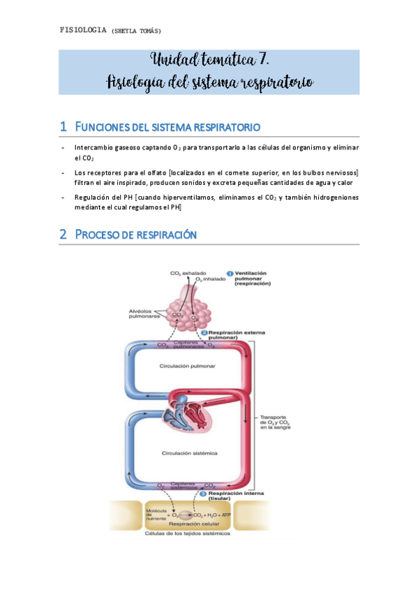 Miniatura del documento TEMA-7-corregido-MANU.pdf