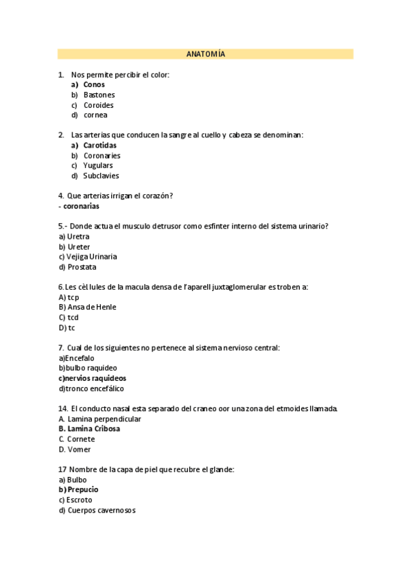 Miniatura del documento ANATOMIA.pdf