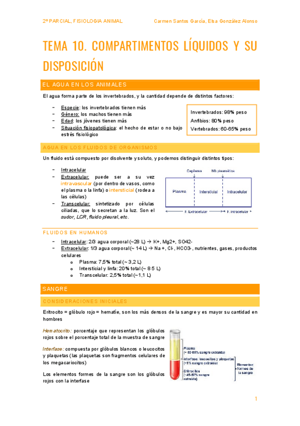 Miniatura del documento fisio-2-parcial.pdf