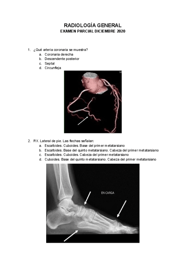 Miniatura del documento RADIO-PARCIAL-202021.pdf