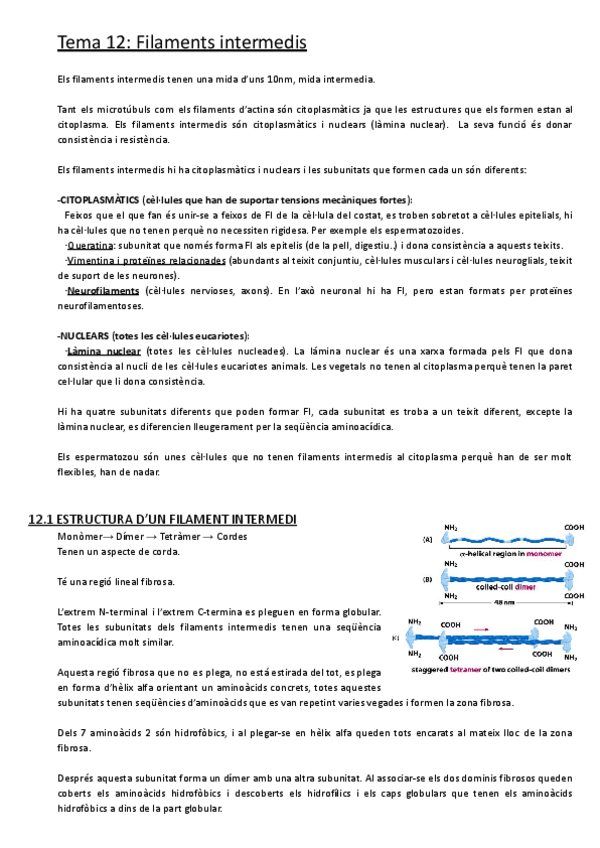 Miniatura del documento Tema-12-Filaments-intermedis.pdf