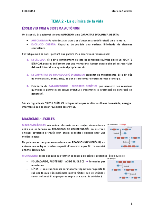 Miniatura del documento BIOLOGIA-I-resum-T2-Mariona-Surralles.pdf