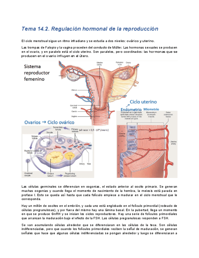 Miniatura del documento tema14.pdf