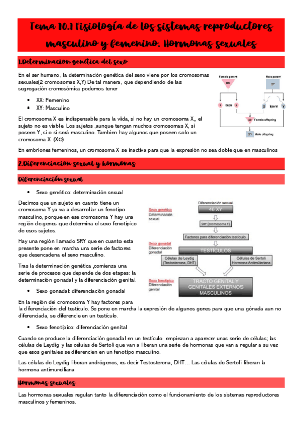 Miniatura del documento Tema-10.pdf