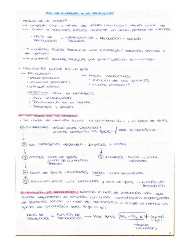Miniatura del documento ECONOMIA-T-5.pdf