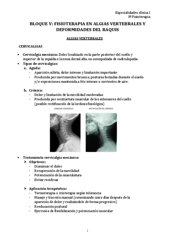 Miniatura del documento B5- Fisioterapia en raquis