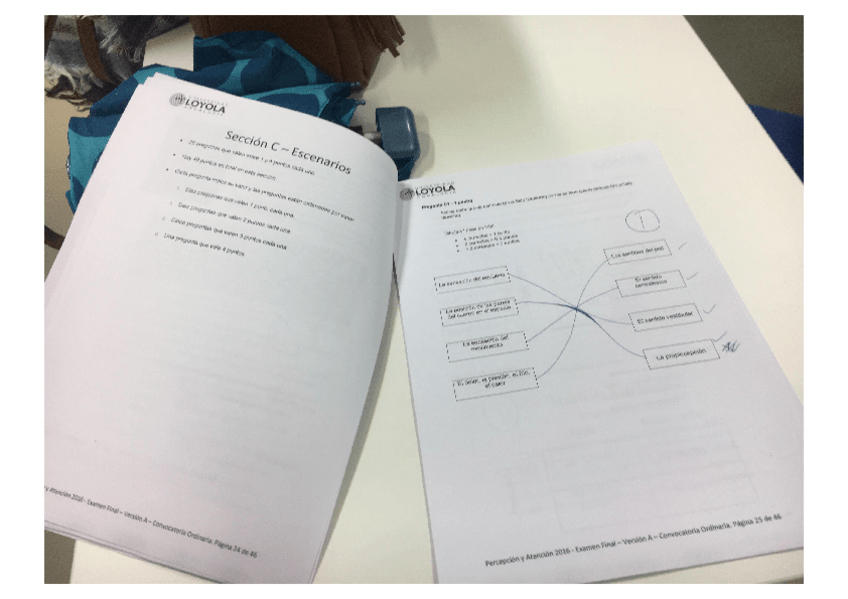 Miniatura del documento EXAMEN-PERCEPCION.pdf