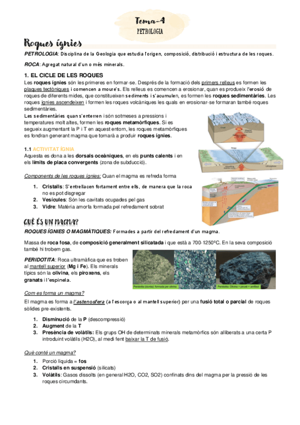 Miniatura del documento TEMA-4.pdf