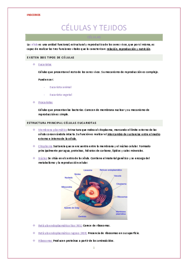 Miniatura del documento Celulas-y-Tejidos.pdf