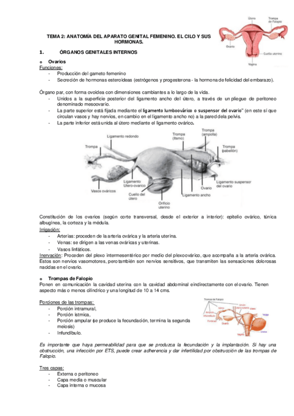 Miniatura del documento tema-2.pdf