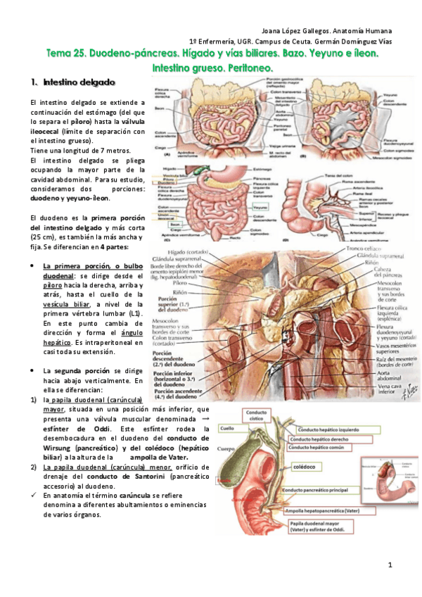 Miniatura del documento Tema-25.pdf