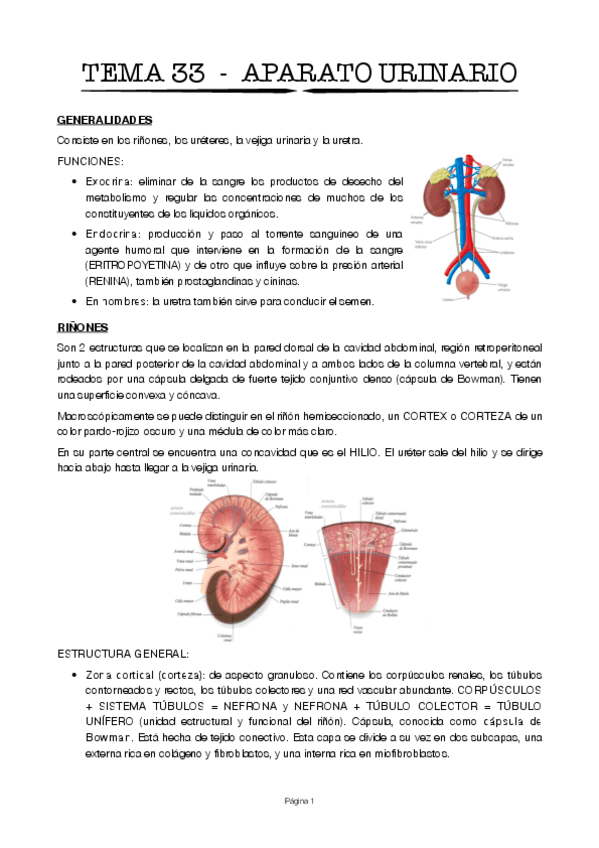 Miniatura del documento Tema-33.pdf