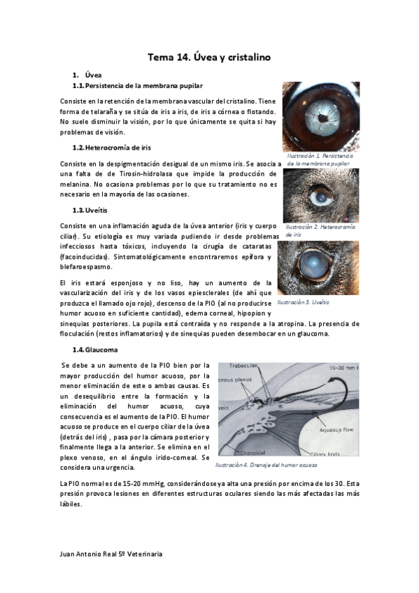 Miniatura del documento Tema-14.pdf