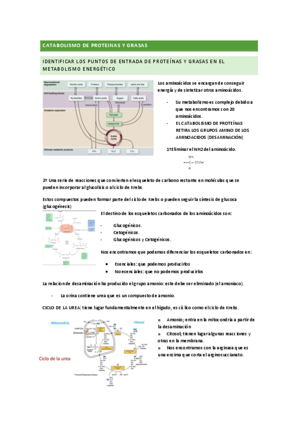 Miniatura del documento Tema-6.pdf