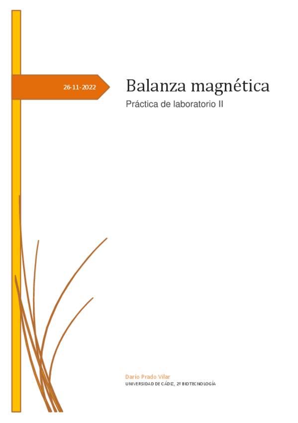 Miniatura del documento P2-Informe-Balanza-Magnetica.pdf