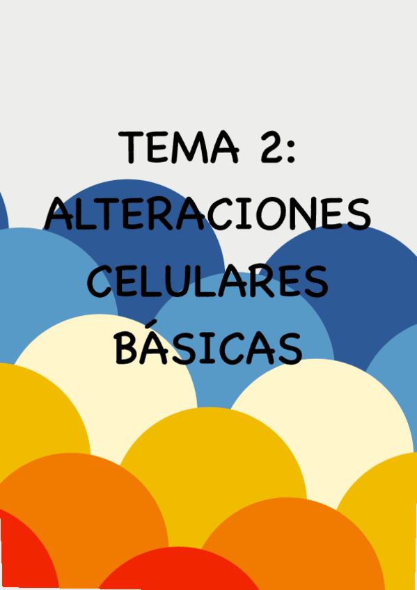 Miniatura del documento Copy-of-Tema-2.pdf