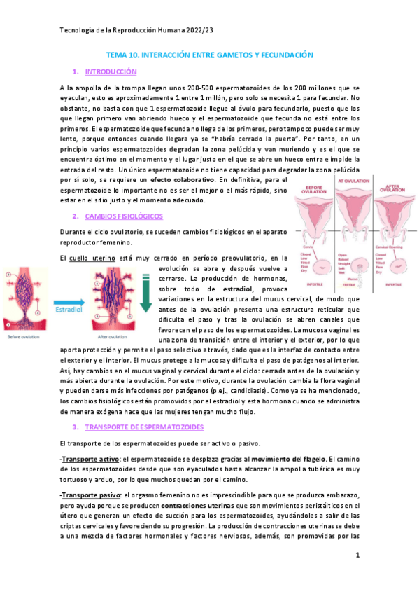 Miniatura del documento Tema-10.pdf