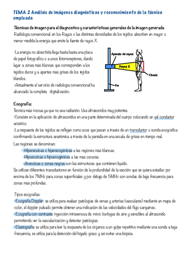 Miniatura del documento Anatomia-T2-Y-T3.pdf