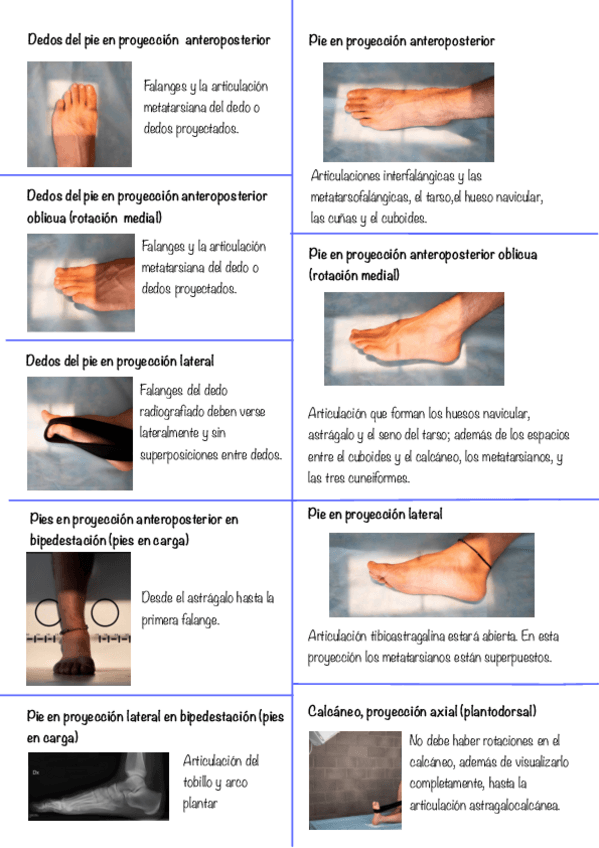 Miniatura del documento Proyecciones.pdf