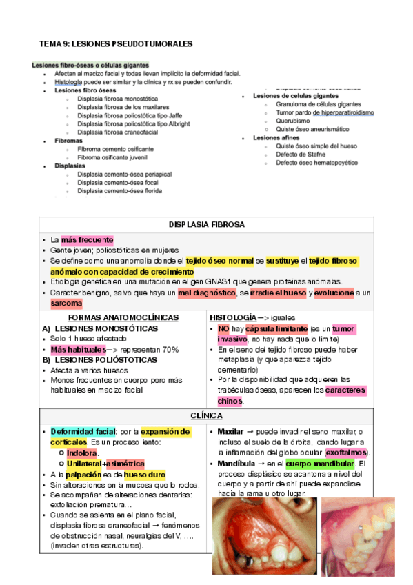 Miniatura del documento maxilo-9-.pdf