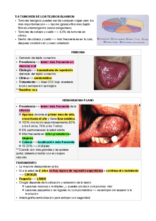 Miniatura del documento maxilo-6-y-7-y-8.pdf
