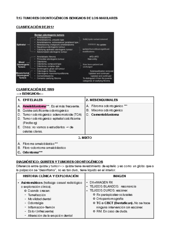 Miniatura del documento maxilo-13-y-14.pdf