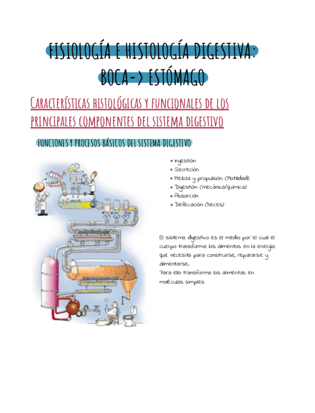 Miniatura del documento Fisiologia-e-histologia-digestiva.pdf