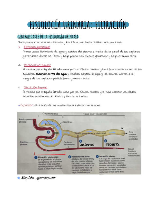 Miniatura del documento Filtracion-.pdf