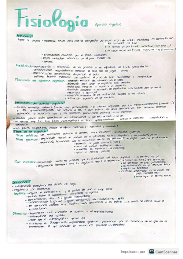 Miniatura del documento aparato-digestivo-fisiologia.pdf