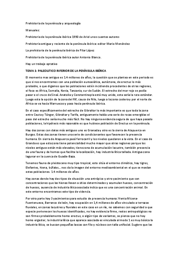 Miniatura del documento Prehistoria-de-la-peninsula-y-arqueologia.pdf