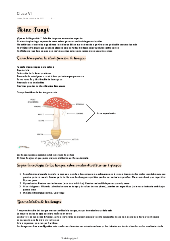 Miniatura del documento Reino-Fungi.pdf